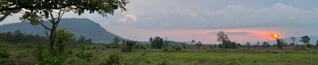 Grassland and scattered trees at sunset, with a hill in the distance