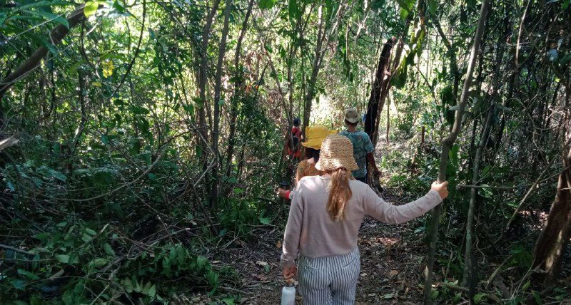 People walking along a narrow path through young forest