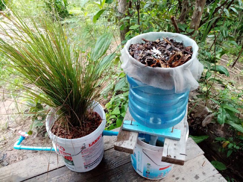 A plastic water bottle filled with leaves on top of a bucket, piped into a second bucket of gravel with a grass plant growing in it